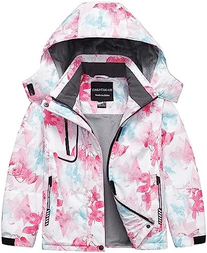 Amazon.com: Roxy Girls American Pie DryFlight Snow Jacket, 14/X